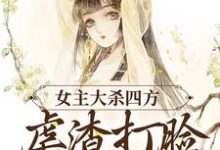 《女主大杀四方,虐渣打脸不停歇!》小说章节列表免费试读,莎妤配角小说在线阅读-贝壳文学
