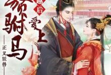 穿越后爱上入赘驸马小说无弹窗阅读的网站推荐-贝壳文学