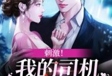 刺激!我的司机是霸总本霸小说,刺激!我的司机是霸总本霸章节在线阅读-贝壳文学