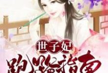 世子妃跑路指南小说无弹窗阅读的网站推荐-贝壳文学