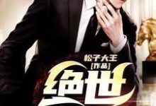 叶辰苏梦竹小说叫什么（绝世医婿免费阅读）-贝壳文学