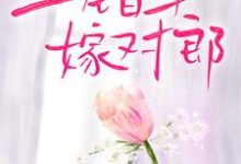 免费看上错车,嫁对郎小说的网站有哪些?-贝壳文学