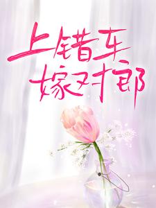 免费看上错车，嫁对郎小说的网站有哪些？