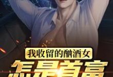 完结版《我收留的酗酒女，怎是首富继承人？》免费阅读-贝壳文学