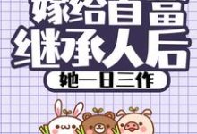 《嫁给首富继承人后，她一日三作》小说主角 穆乐乐晏习帛章节章节免费在线阅读-贝壳文学