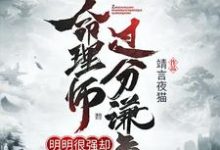 这个命理师明明很强却过分谦虚小说全文哪里可以免费看？-贝壳文学