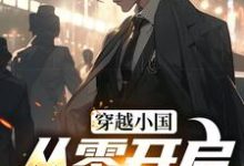 完结版《穿越小国，从零开启S3赛季》章节阅读-贝壳文学