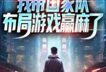 主角许强王恒小说完结版在线阅读,重生之我带国家队布局游戏赢麻了免费看-贝壳文学