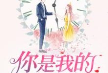 你是我的万分之一糖宋沐晨陆怀晞，你是我的万分之一糖在线无弹窗阅读-贝壳文学