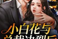 求小白花与总裁决裂后,他后悔疯了小说免费资源-贝壳文学