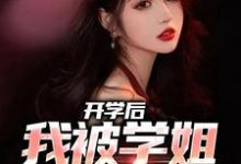 开学后，我被学姐盯上了陈宇林诗软在线章节免费阅读-贝壳文学