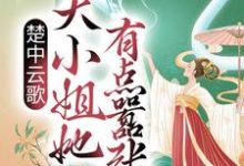 楚云歌夜澜天是哪本书的主角?寻找楚中云歌:大小姐她有点嚣张免费阅读-贝壳文学