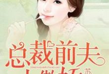 总裁前夫太傲娇小说有没有完整的免费版本在线阅读？-贝壳文学