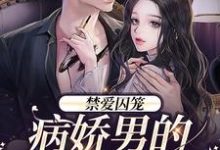 季晏清慕之桃的故事在哪本书里?免费阅读禁爱囚笼:病娇男的独占欲-贝壳文学