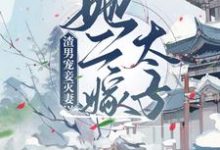 渣男宠妾灭妻？她二嫁太子楚宁萧默小说在线章节目录阅读最新章节-贝壳文学