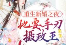 重生新婚之夜，她要手刃摄政王小说完结了吗？在哪里可以免费读到？-贝壳文学