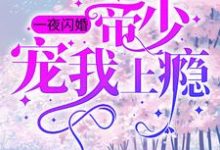 寻找一夜闪婚：帝少宠我上瘾小说的最新更新章节-贝壳文学