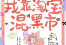 《回到六零，我靠淘宝混黑市》小说大结局免费试读 赵雨笙宋安懿小说-贝壳文学