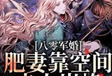 凌瑶陆青云为主角的小说好看吗？免费读八零军婚：肥妻靠空间走上巅峰-贝壳文学