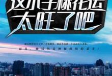 可恶！这小子桃花运太旺了吧！小说免费资源，可恶！这小子桃花运太旺了吧！在线阅读-贝壳文学