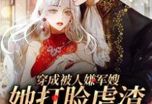 穿成被人嫌军嫂，她打脸虐渣忙不停小说的免费阅读版本在哪里可以找到？-贝壳文学