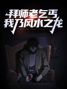 完结版《拜师老乞丐：我乃风水之龙》章节目录在线阅读