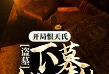 已完结小说《盗墓：开局恨天氏，下墓就无敌》章节在线阅读-贝壳文学