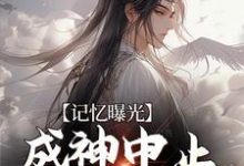 记忆曝光：成神中止，我去保护妹妹小说完结了吗？在哪里可以免费读到？-贝壳文学