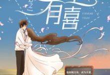 合约夫妇之一笙有喜小说，合约夫妇之一笙有喜在线阅读-贝壳文学