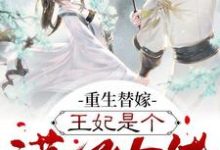 小说《重生替嫁，王妃是个满级大佬》在线章节阅读-贝壳文学