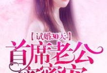 试婚30天：首席老公蜜蜜宠这本小说怎么样？免费在线阅读试试-贝壳文学
