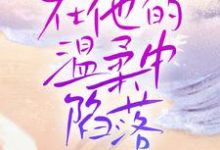 小说《在他的温柔中陷落》章节免费阅读-贝壳文学