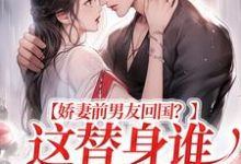 王逸风是哪本书的主角?寻找娇妻前男友回国?这替身谁爱当谁当免费阅读-贝壳文学