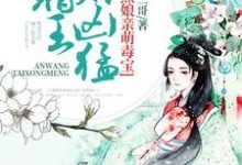 腹黑娘亲萌毒宝:暗王,太凶猛!小说完结版章节免费阅读-贝壳文学
