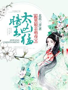 腹黑娘亲萌毒宝：暗王，太凶猛！小说完结版章节免费阅读