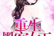 小说《重生黑客女王》在线章节阅读-贝壳文学