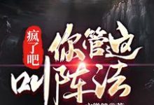 已完结小说《疯了吧!你管这叫阵法?》在线章节阅读-贝壳文学