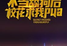 主角叫江城的小说在哪阅读-贝壳文学