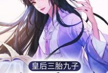 皇后三胎九子，朕还需选秀？小说的免费电子版在哪里可以下载或阅读？-贝壳文学