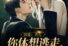 《囚爱：夫人，你休想逃走我的手掌心》小说大结局免费试读 叶舟聂修衍小说-贝壳文学
