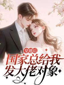求穿越后，国家总给我发大佬对象小说免费资源
