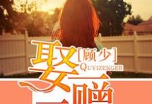 顾少，娶一赠二最新章节，顾少，娶一赠二章节在线阅读-贝壳文学