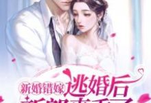 求新婚错嫁，逃婚后新郎真香了！小说免费资源-贝壳文学