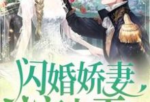 在线寻找闪婚娇妻宠上天小说的无删减版本-贝壳文学