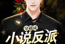 哪里能找到穿越成小说反派怎么办小说的全部章节?-贝壳文学
