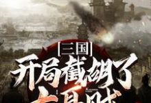 寻找能够免费阅读三国：开局截胡了大耳贼小说的平台-贝壳文学