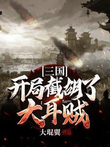 寻找能够免费阅读三国：开局截胡了大耳贼小说的平台