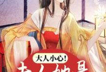 已完结小说《大人小心！夫人她是娇媚祸水》最新章节-贝壳文学