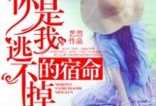 已完结小说《你是我逃不掉的宿命》章节在线阅读-贝壳文学