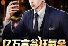小说《亿万富翁狂氪金，秒变电子财神》章节免费阅读-贝壳文学